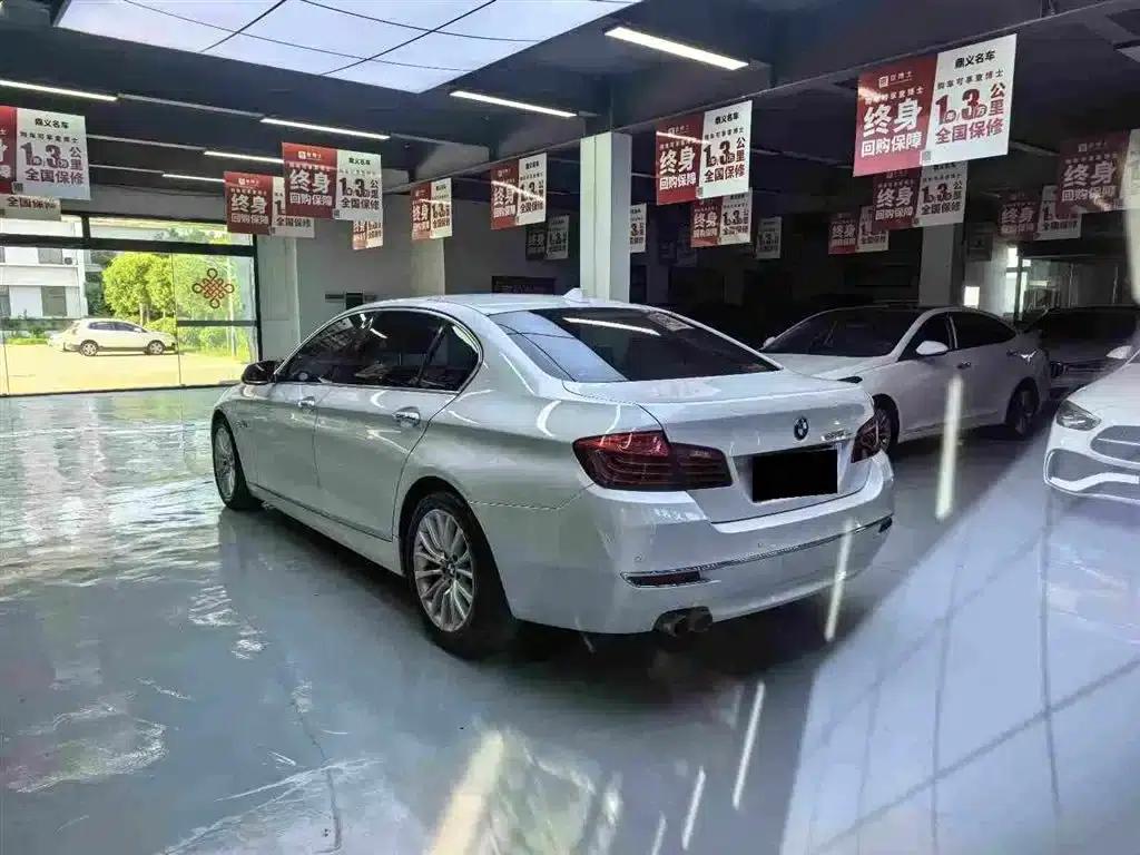 2014 BMW 5 Series 525Li Luxury Design Package — миниатюра 9
