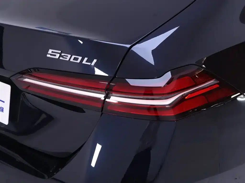 2025 BMW 5 Series 530Li Luxury M Sport Package — миниатюра 9