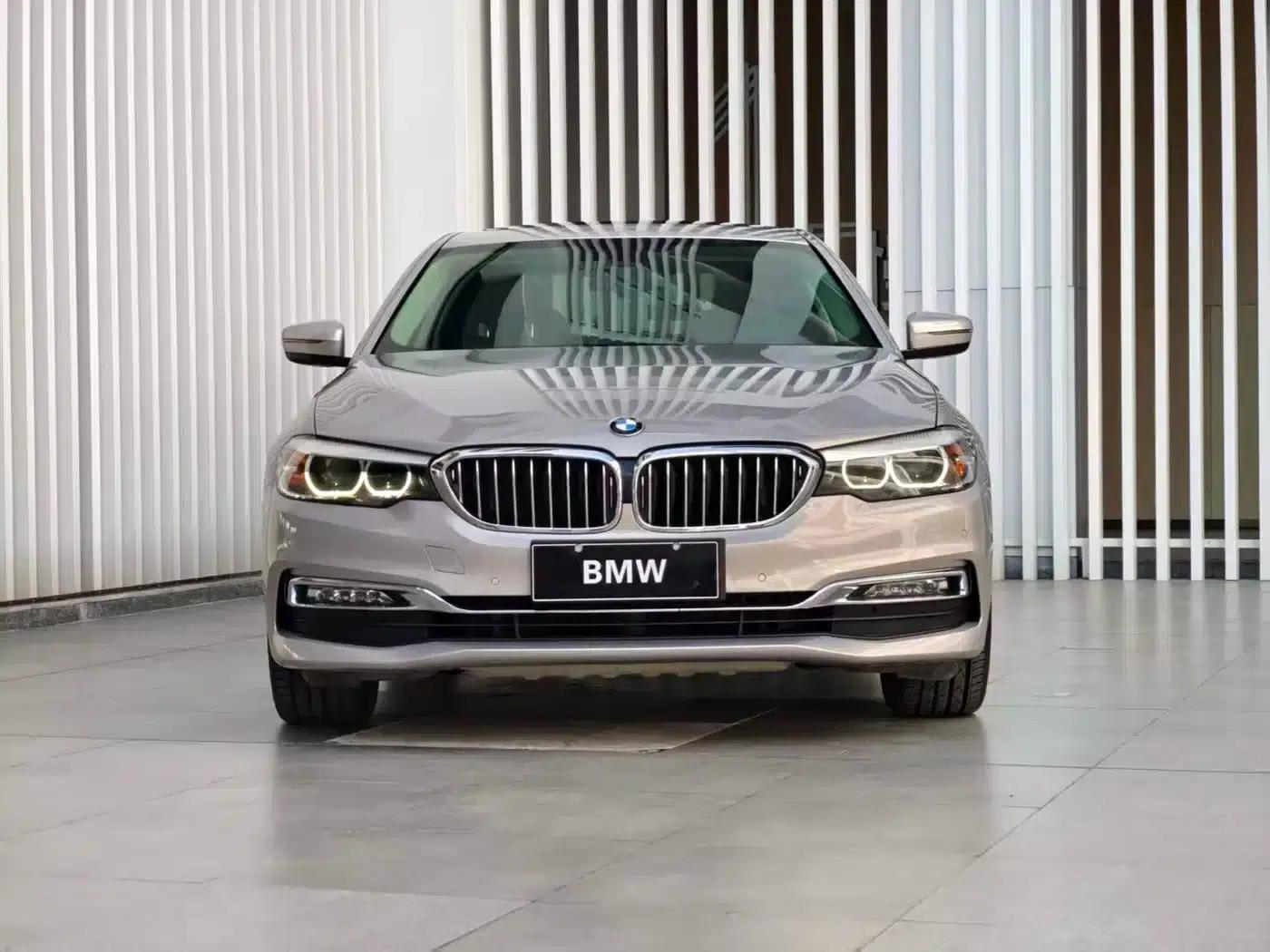 2018 BMW 5 Series 530Li Leading Luxury Package — миниатюра 2