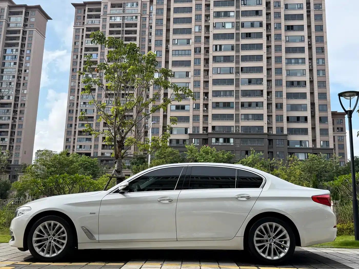 2018 BMW 5 Series 530Li Leading Luxury Package — миниатюра 2
