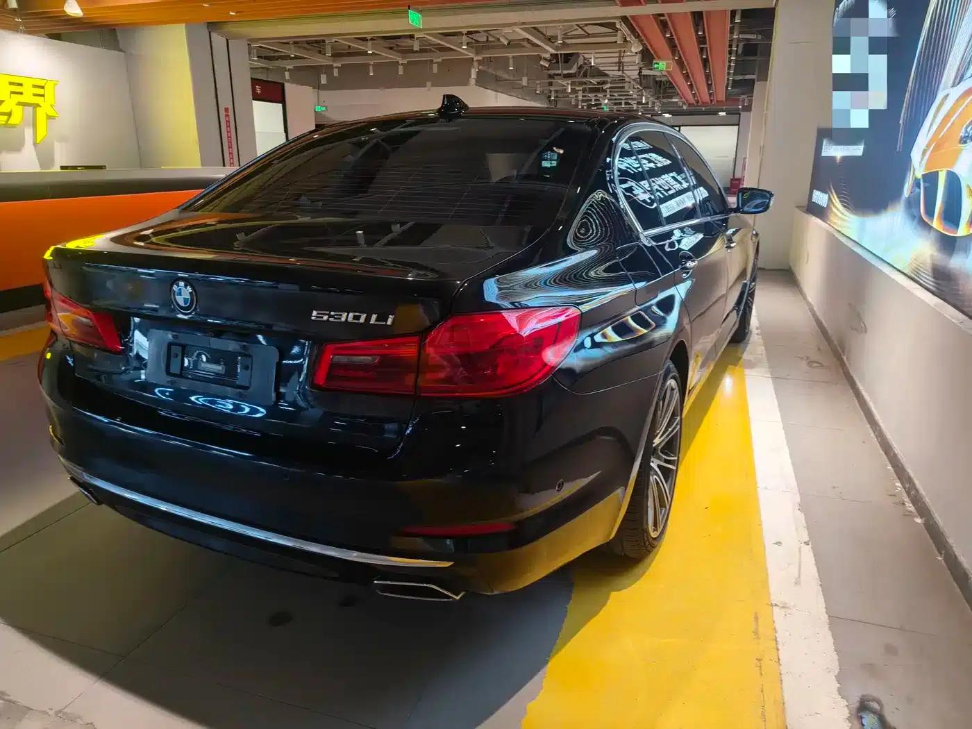 BMW 5 Series 2019 530Li Luxury Package — миниатюра 13