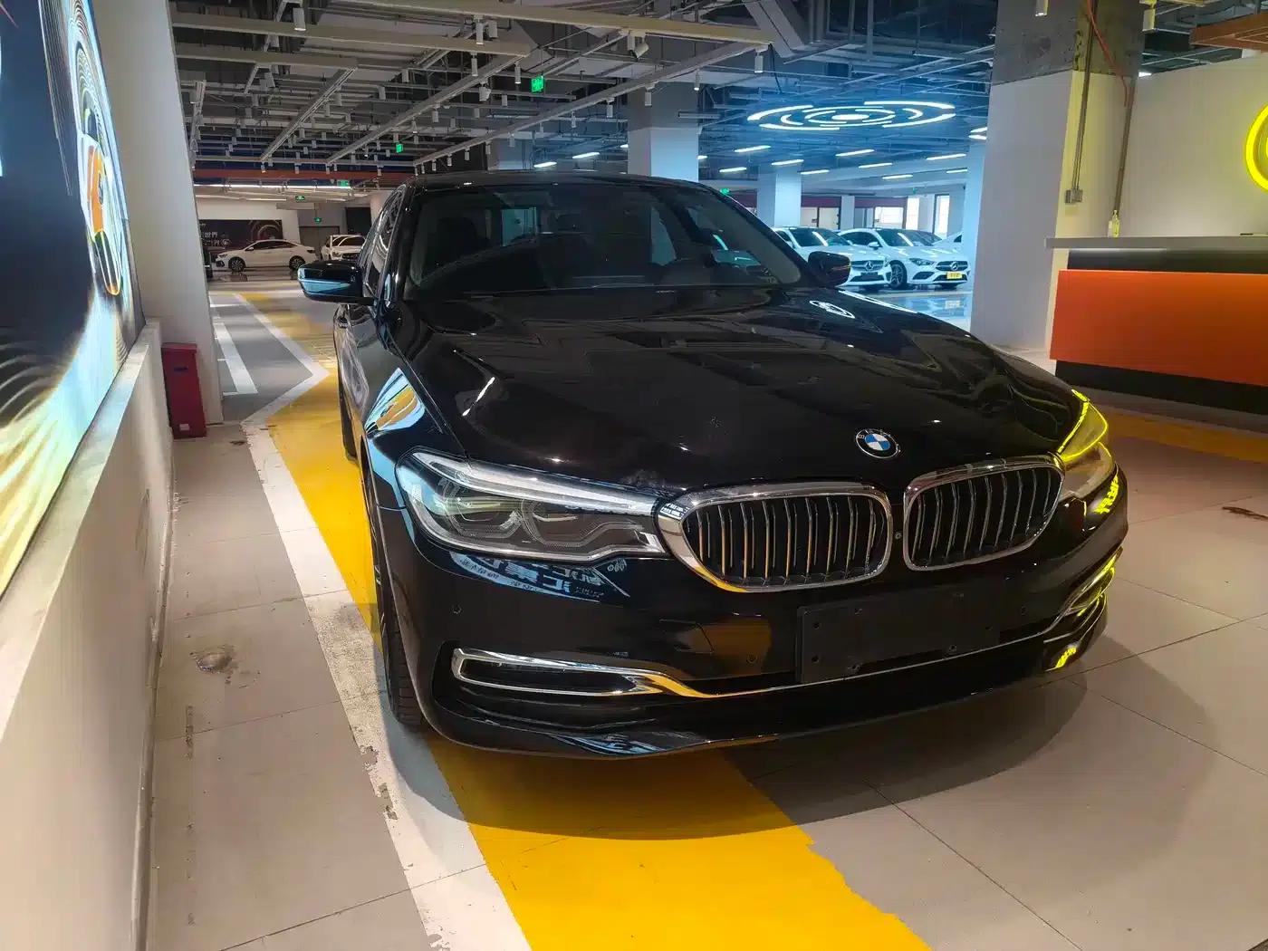 BMW 5 Series 2019 530Li Luxury Package — миниатюра 3