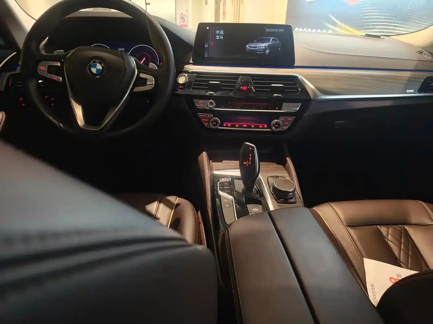 BMW 5 Series 2019 530Li Luxury Package — миниатюра 8