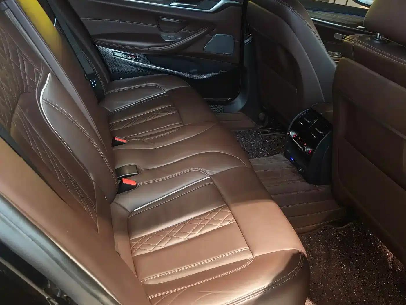 BMW 5 Series 2019 530Li Luxury Package — миниатюра 9