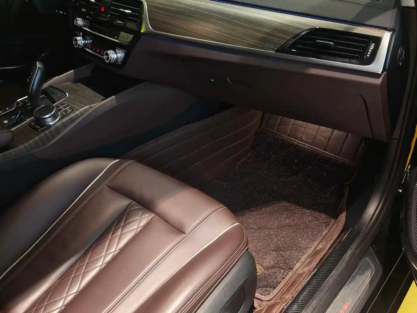 BMW 5 Series 2019 530Li Luxury Package — миниатюра 10
