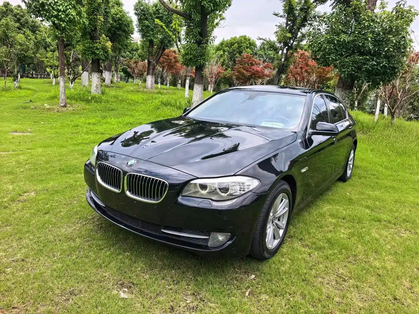 BMW 5 Series 2013 525Li Luxury — миниатюра 1