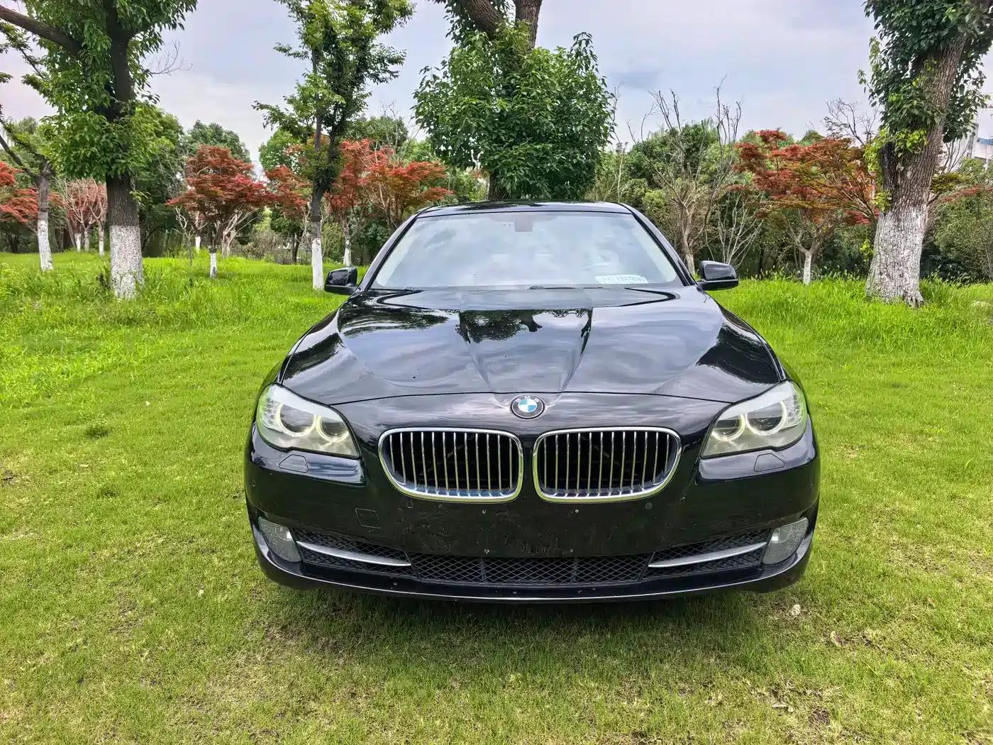 BMW 5 Series 2013 525Li Luxury — миниатюра 2