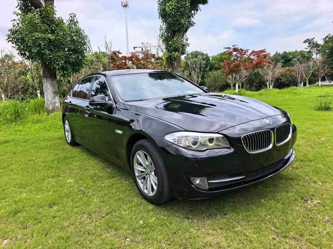 BMW 5 Series 2013 525Li Luxury — миниатюра 3