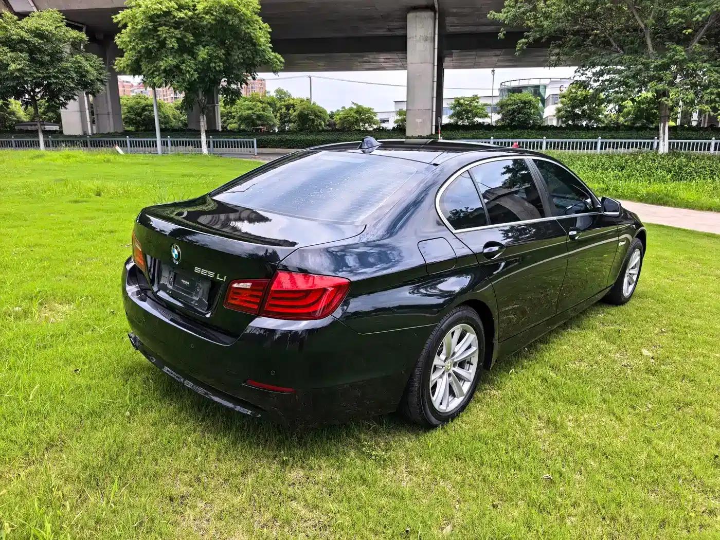 BMW 5 Series 2013 525Li Luxury — миниатюра 5