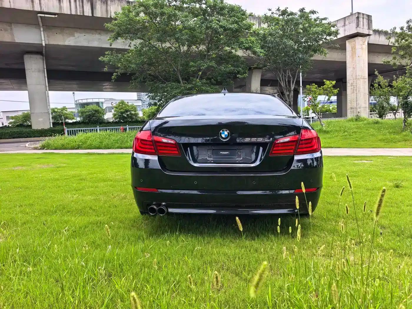 BMW 5 Series 2013 525Li Luxury — миниатюра 6