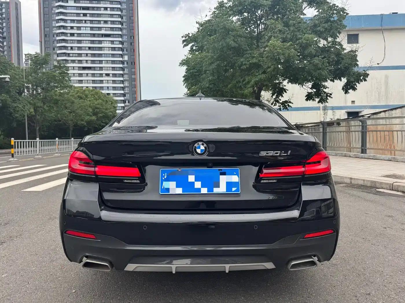 2022 BMW 5 Series Facelift 530Li Leading Edition M Sport Package — миниатюра 10