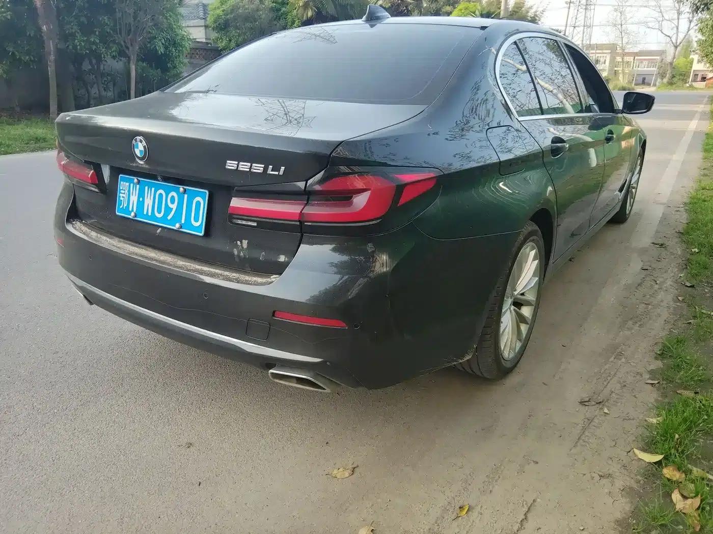 2022 BMW 5 Series Facelift 525Li Luxury Package — миниатюра 4