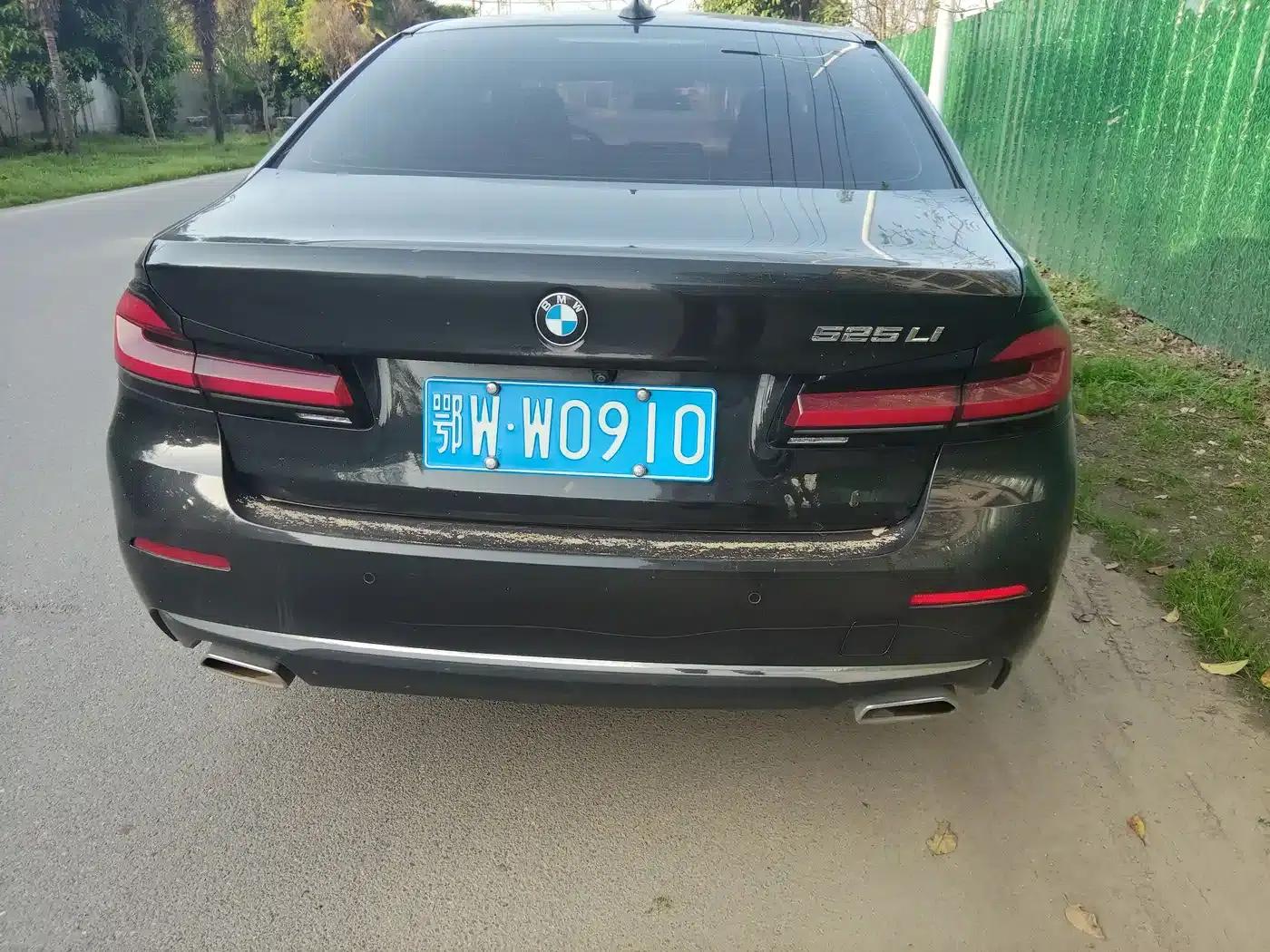 2022 BMW 5 Series Facelift 525Li Luxury Package — миниатюра 10