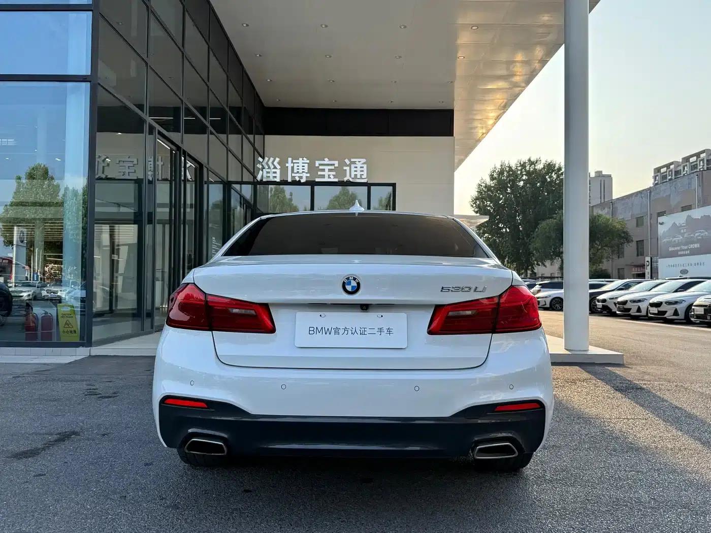 2019 BMW 5 Series 530Li Leading Edition M Sport Package — миниатюра 12