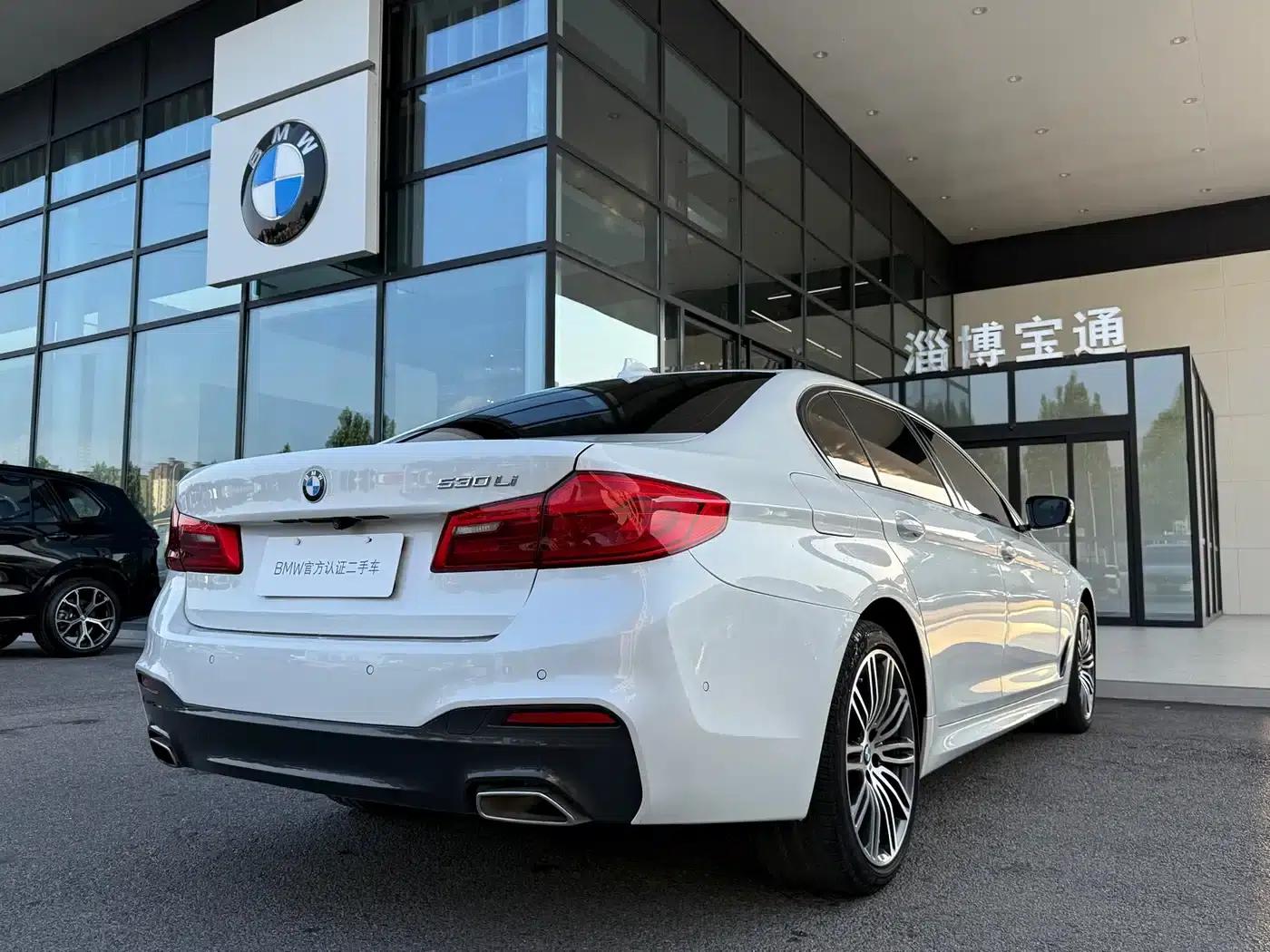 2019 BMW 5 Series 530Li Leading Edition M Sport Package — миниатюра 13