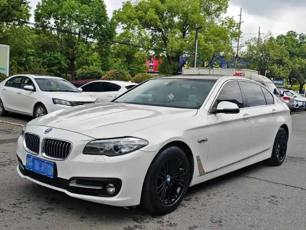 2014 BMW 5 Series 525Li Luxury Design Package — миниатюра 1