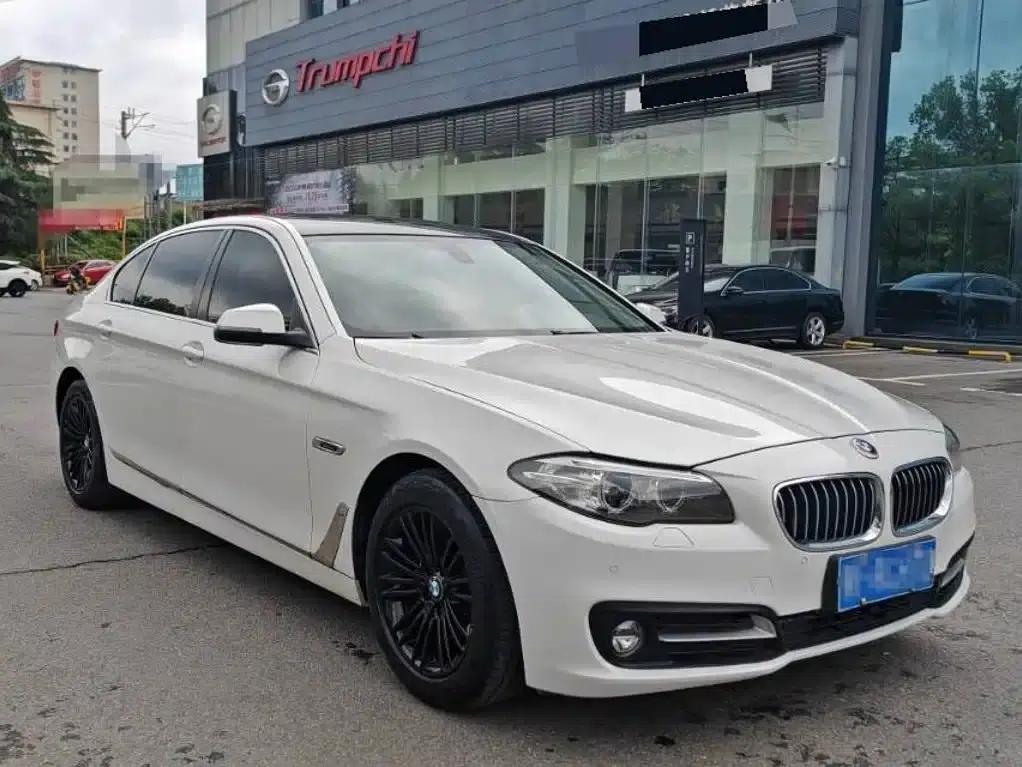 2014 BMW 5 Series 525Li Luxury Design Package — миниатюра 3