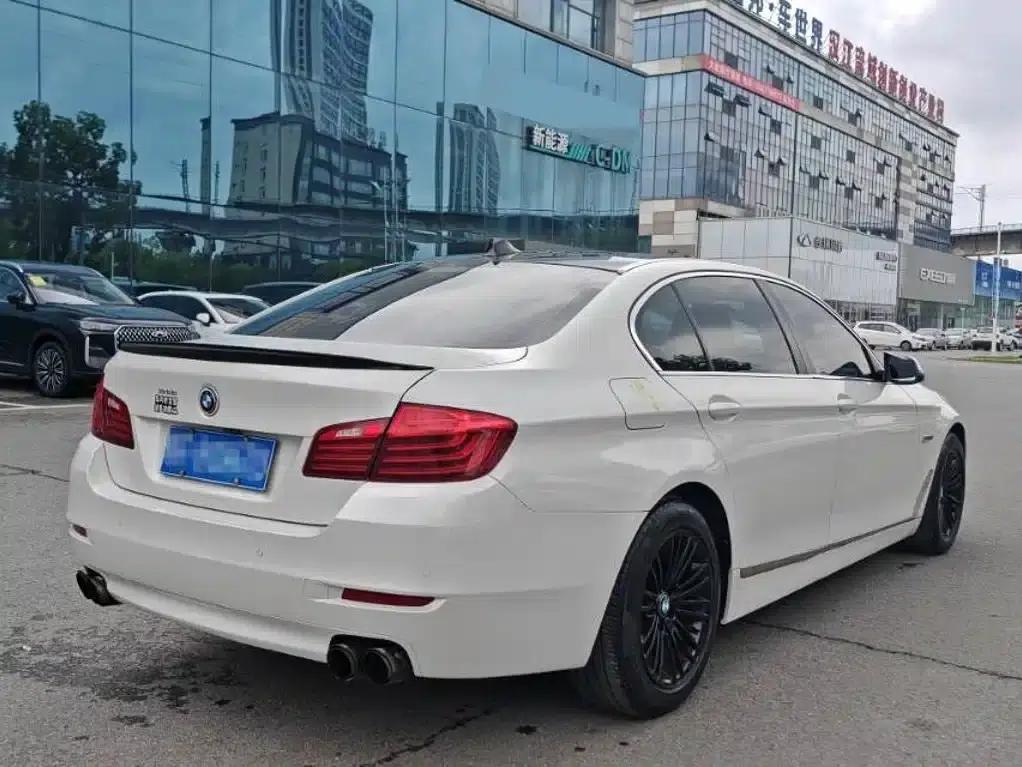 2014 BMW 5 Series 525Li Luxury Design Package — миниатюра 8