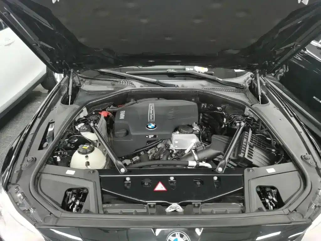 BMW 5 Series 2017 525Li Leading Edition — миниатюра 20