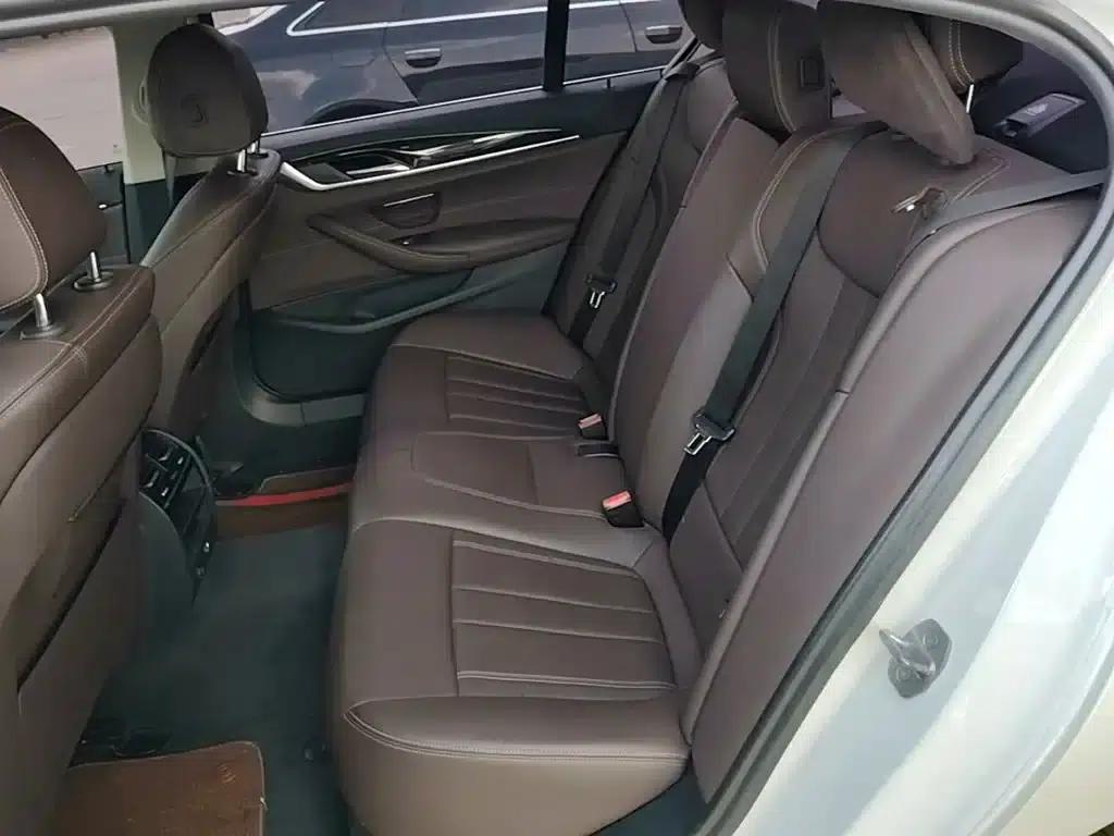 2019 BMW 5 Series Facelift 525Li Luxury Package — миниатюра 17