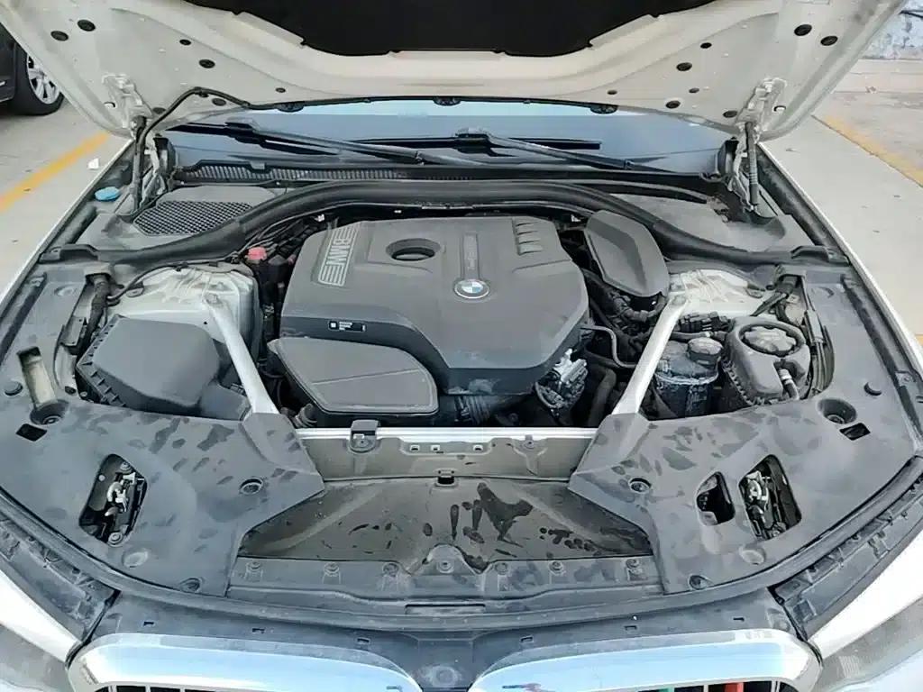 2019 BMW 5 Series Facelift 525Li Luxury Package — миниатюра 20