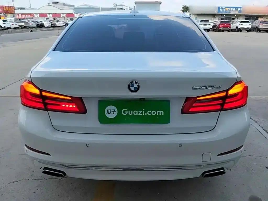 2019 BMW 5 Series Facelift 525Li Luxury Package — миниатюра 6