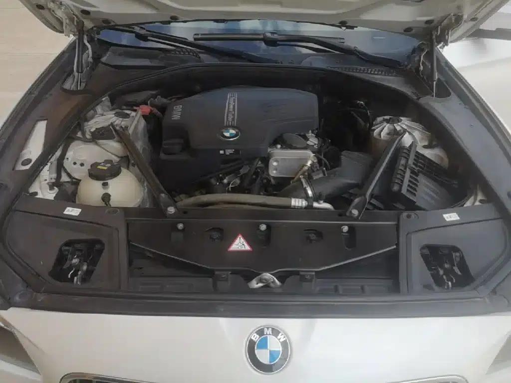 2014 BMW 5 Series 525Li Leading Edition — миниатюра 20