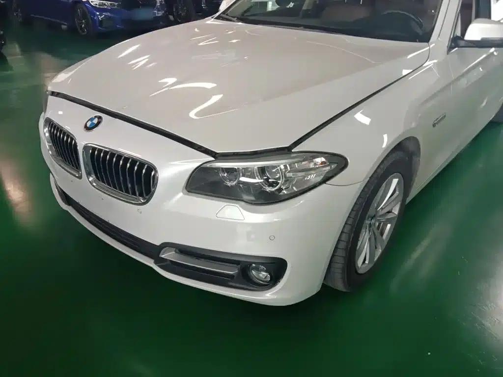 2014 BMW 5 Series 520Li Elegant Edition — миниатюра 16