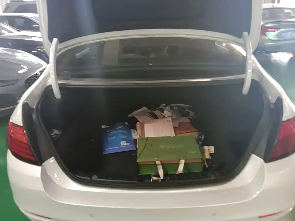 2014 BMW 5 Series 520Li Elegant Edition — миниатюра 10