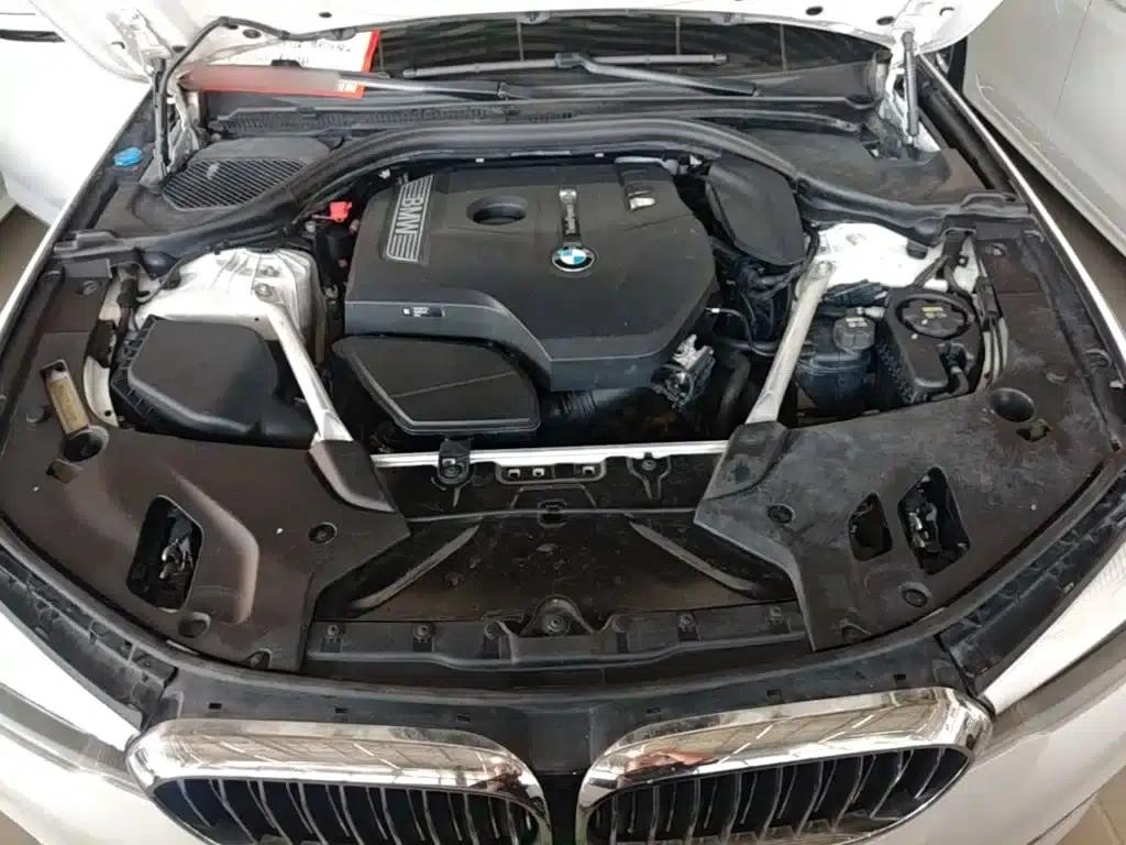 2018 BMW 5 Series 525Li Luxury Package — миниатюра 16