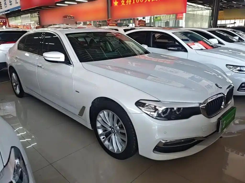 2018 BMW 5 Series 525Li Luxury Package — миниатюра 22