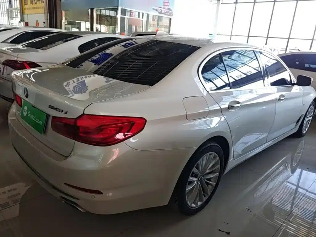2018 BMW 5 Series 525Li Luxury Package — миниатюра 5