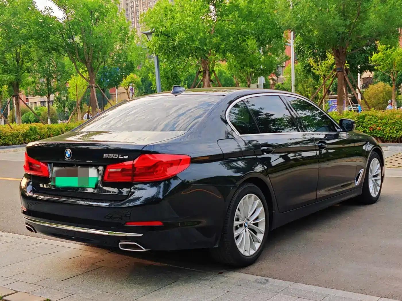 BMW 5 Series PHEV 2020 Mileage Upgrade Edition 530Le Pioneer Edition — миниатюра 4