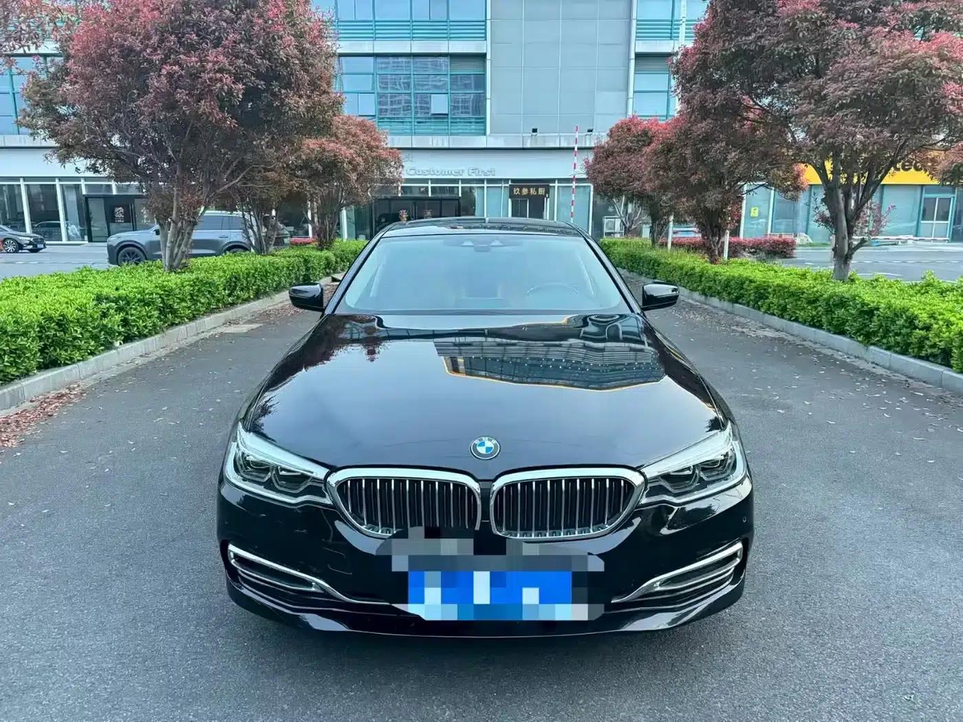 BMW 5 Series PHEV 2019 530Le Luxury Package — миниатюра 2