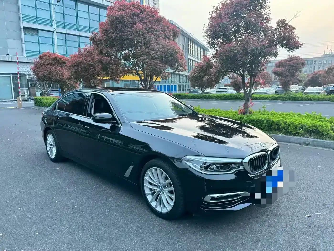 BMW 5 Series PHEV 2019 530Le Luxury Package — миниатюра 3