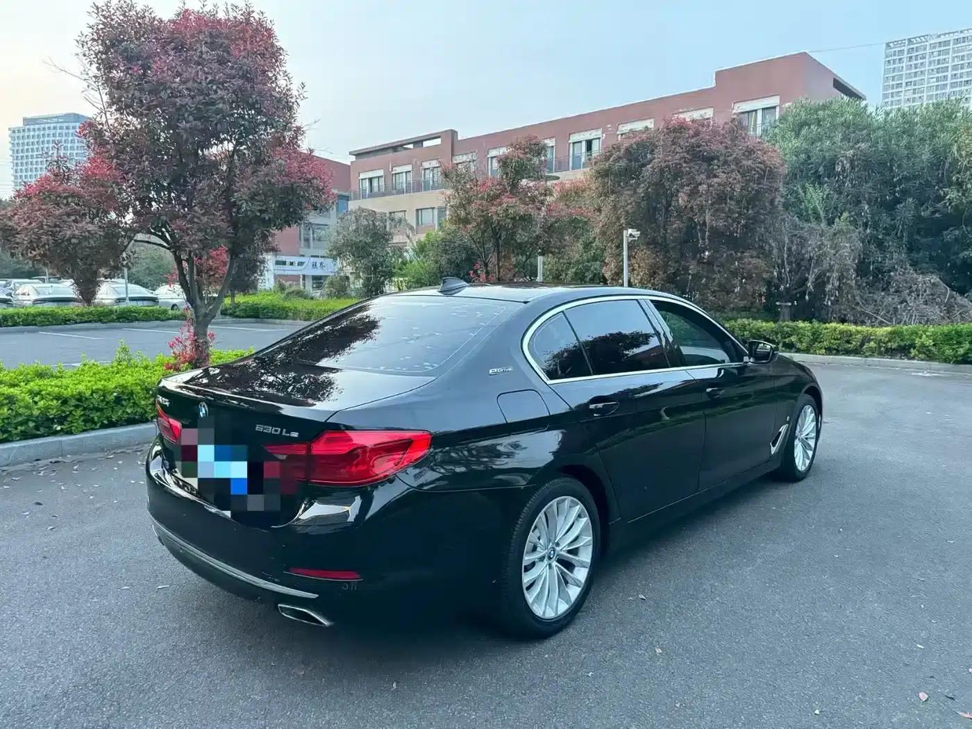 BMW 5 Series PHEV 2019 530Le Luxury Package — миниатюра 4