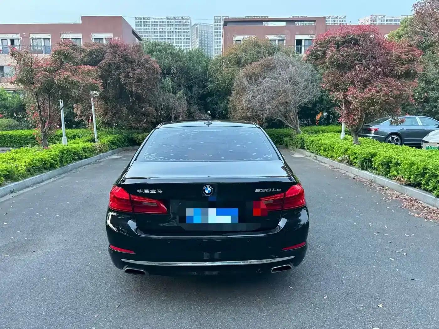 BMW 5 Series PHEV 2019 530Le Luxury Package — миниатюра 5