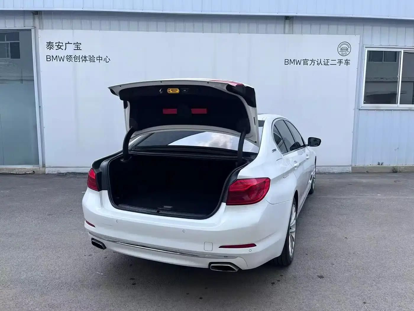 BMW 5 Series PHEV 2019 530Le Luxury Package — миниатюра 6