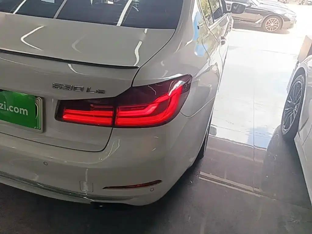 BMW 5 Series PHEV 2019 530Le Luxury Package — миниатюра 24