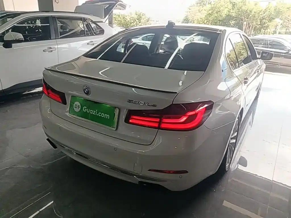 BMW 5 Series PHEV 2019 530Le Luxury Package — миниатюра 5