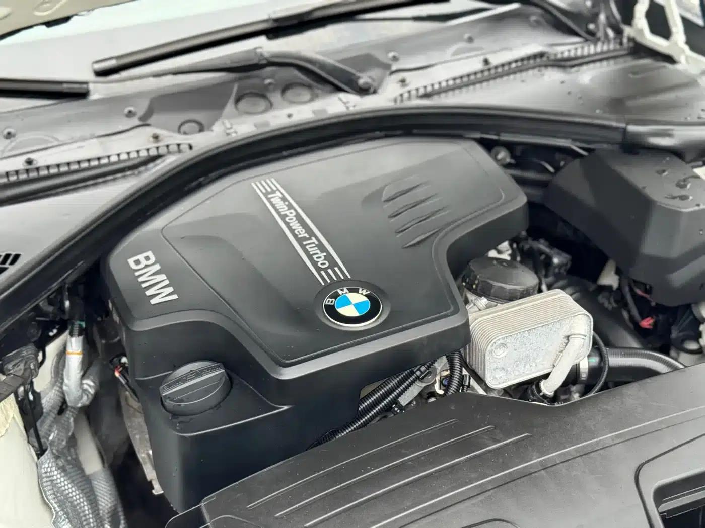 BMW 3 Series 2015 320Li Luxury Design Package — миниатюра 21