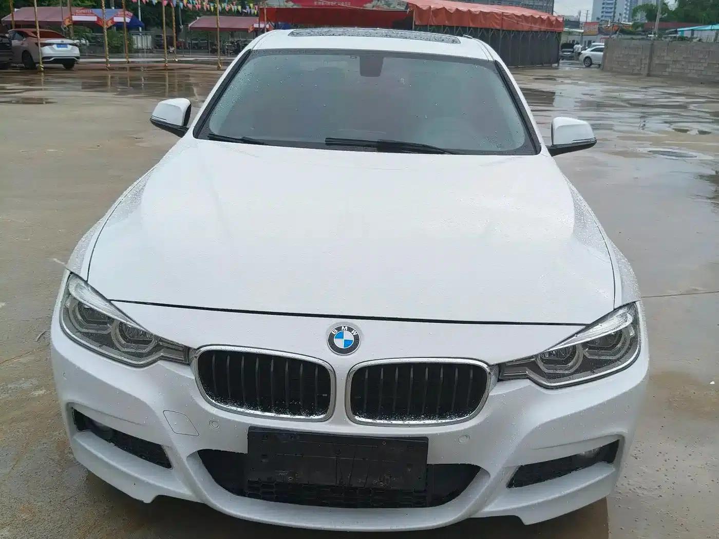 2017 BMW 3 Series 320Li M Sport — миниатюра 2