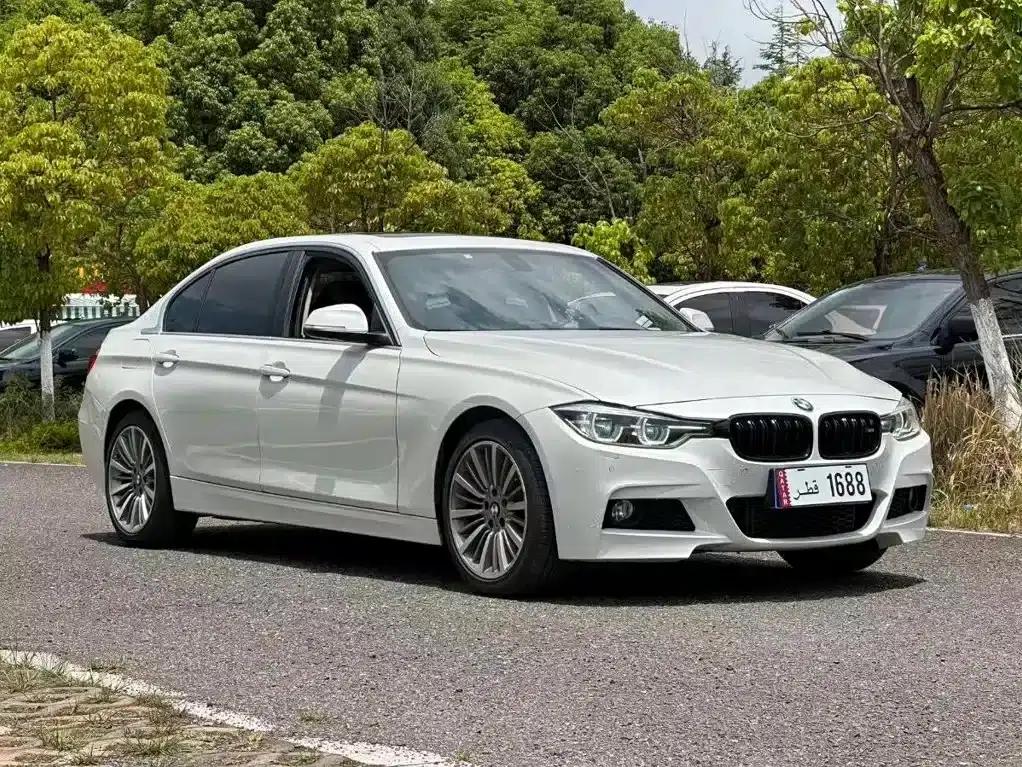 2019 BMW 3 Series 320Li M Sport Package — миниатюра 1