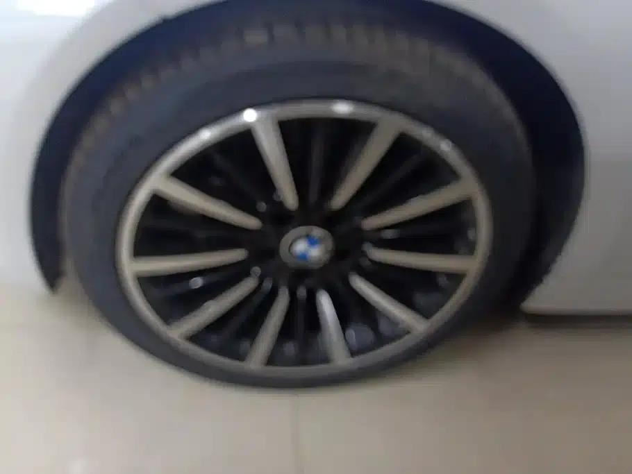 BMW 3 Series 2019 320Li xDrive Fashion Edition — миниатюра 6