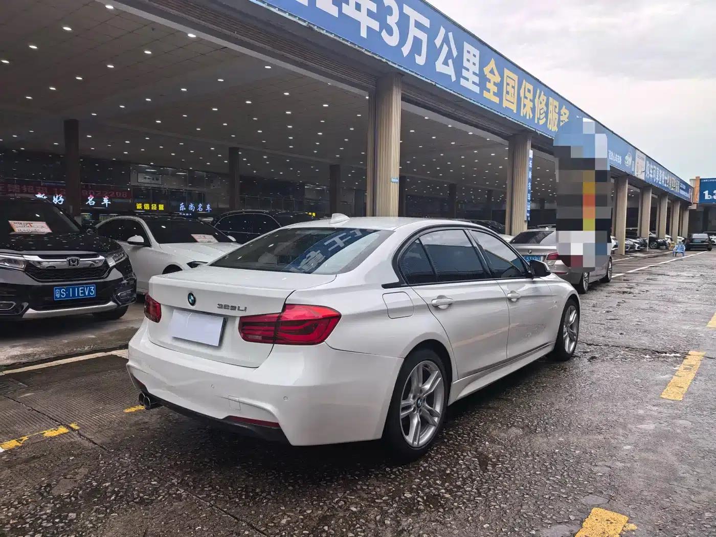 2019 BMW 3 Series 320Li M Luxury Package — миниатюра 11