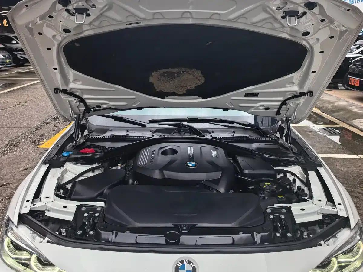 2019 BMW 3 Series 320Li M Luxury Package — миниатюра 15