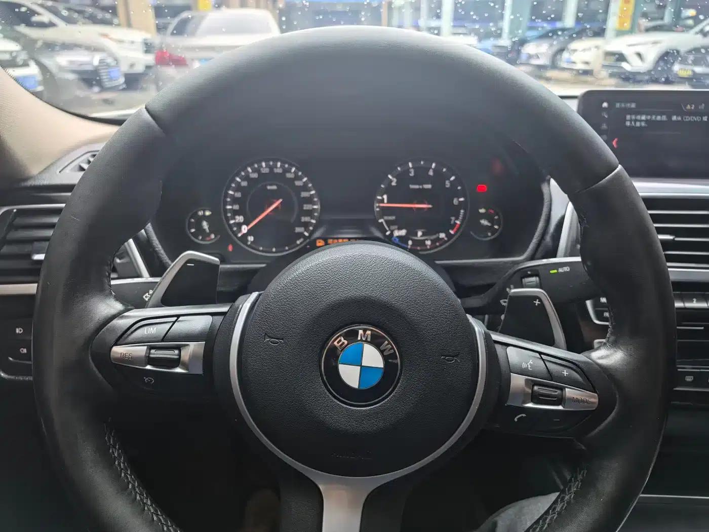 2019 BMW 3 Series 320Li M Luxury Package — миниатюра 9