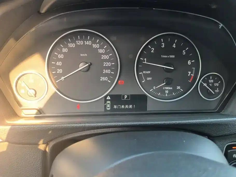 2016 BMW 3 Series 320Li Progressive — миниатюра 14