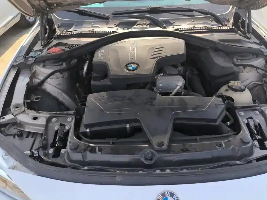 2016 BMW 3 Series 320Li Progressive — миниатюра 10