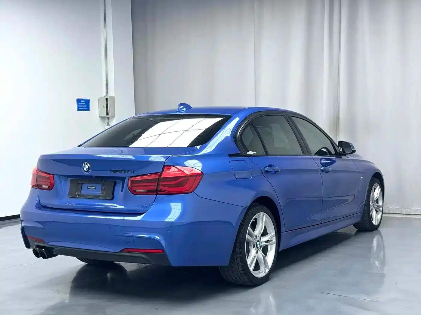 2019 BMW 3 Series 320Li M Luxury Package — миниатюра 10